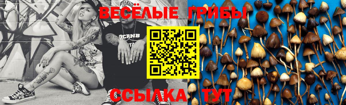 Псилоцибиновые грибы Cubensis Вятские Поляны